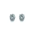 Earrings - White Gold